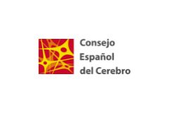 Consejo Español del Cerebro 1